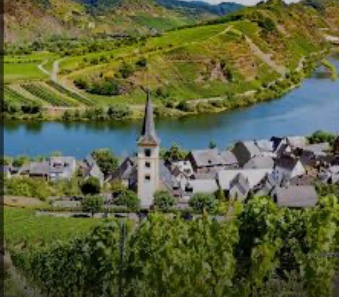 Ferienwohnung Eifel Mosel Hunsrueck Bergweiler Екстериор снимка